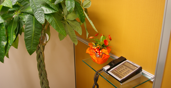 ローザスのエントランス