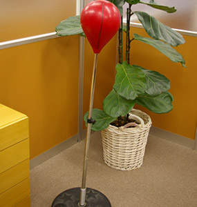 そのうえ、パンチングボール！ストレスが溜まるとこれを使っている人がいるとかいないとか。